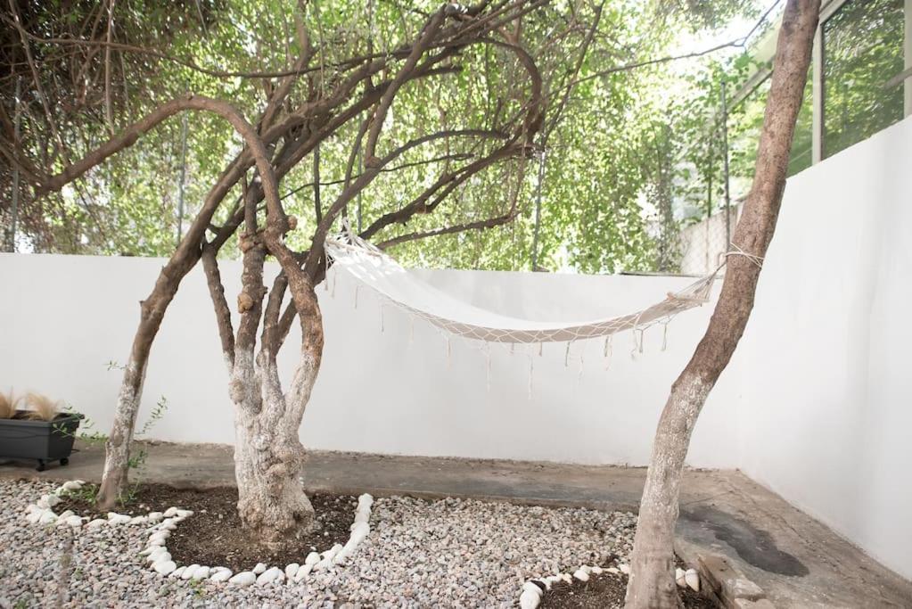 Luxury Studio With Garden Next To Acropolis เอเธนส์ ภายนอก รูปภาพ